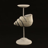 Kerzenhalter Ringmuschel wei Shabby Chic